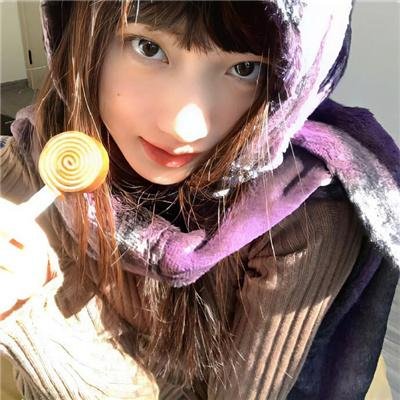 绽放的玫瑰